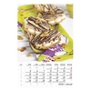 Falinaptár TOPTIMER T094 220x330mm álló Desszertek 2026. Falinaptár TOPTIMER T094 220x330mm álló Desszertek 2026.