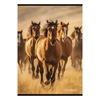 Füzet kockás STREET A/4 54 lapos Horses