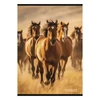 Füzet vonalas STREET A/4 54 lapos Horses margóval