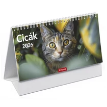 Asztali naptár képes TOPTIMER T058 álló fehér lapos Cicák 2026.