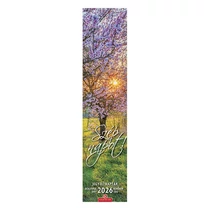 Falinaptár CSG 110x480mm álló Szép napot jegyzet 2026. Falinaptár CSG 110x480mm álló Szép napot jegyzet 2026.