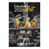 Falinaptár TOPTIMER T092 315x450mm álló Colour Art 2026. Falinaptár TOPTIMER T092 315x450mm álló Colour Art 2026.