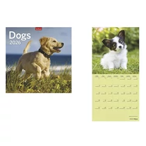 Falinaptár TOPTIMER T098 290x580mm álló Dogs 2026. Falinaptár TOPTIMER T098 290x580mm álló Dogs 2026.