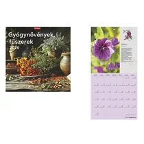 Falinaptár TOPTIMER T098 290x580mm álló Gyógynövények-fűszerek 2026. Falinaptár TOPTIMER T098 290x580mm álló Gyógynövények-fűszerek 2026.