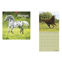 Falinaptár TOPTIMER T098 290x580mm álló Horses 2026. Falinaptár TOPTIMER T098 290x580mm álló Horses 2026.