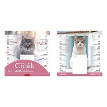 Falinaptár mágneses TOPTIMER T090 220x220mm Cicák 2026. Falinaptár mágneses TOPTIMER T090 220x220mm Cicák 2026.