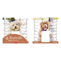 Falinaptár mágneses TOPTIMER T090 220x220mm Kutyák 2026. Falinaptár mágneses TOPTIMER T090 220x220mm Kutyák 2026.