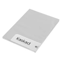 Fénymásolópapír színes KASKAD A/4 80 g ezüstszürke 94 100 ív/csomag Fénymásolópapír színes KASKAD A/4 80 g ezüstszürke 94 100 ív/csomag