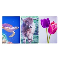 Okmánytartó Személyi Igazolvány felirattal mintás álló 4 lapos Okmánytartó Személyi Igazolvány felirattal mintás álló 4 lapos