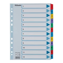 Regiszter ESSELTE Mylar A/4 laminált karton 1-12