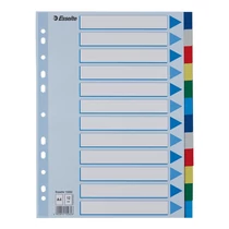 Regiszter ESSELTE A/4 műanyag 12 részes Regiszter ESSELTE A/4 műanyag 12 részes