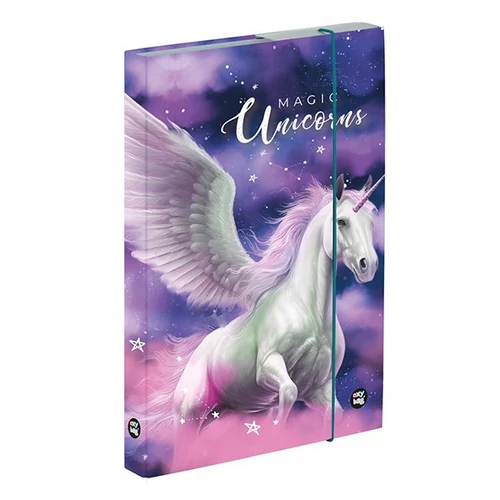 Füzetbox OXY A/5 Pegasus